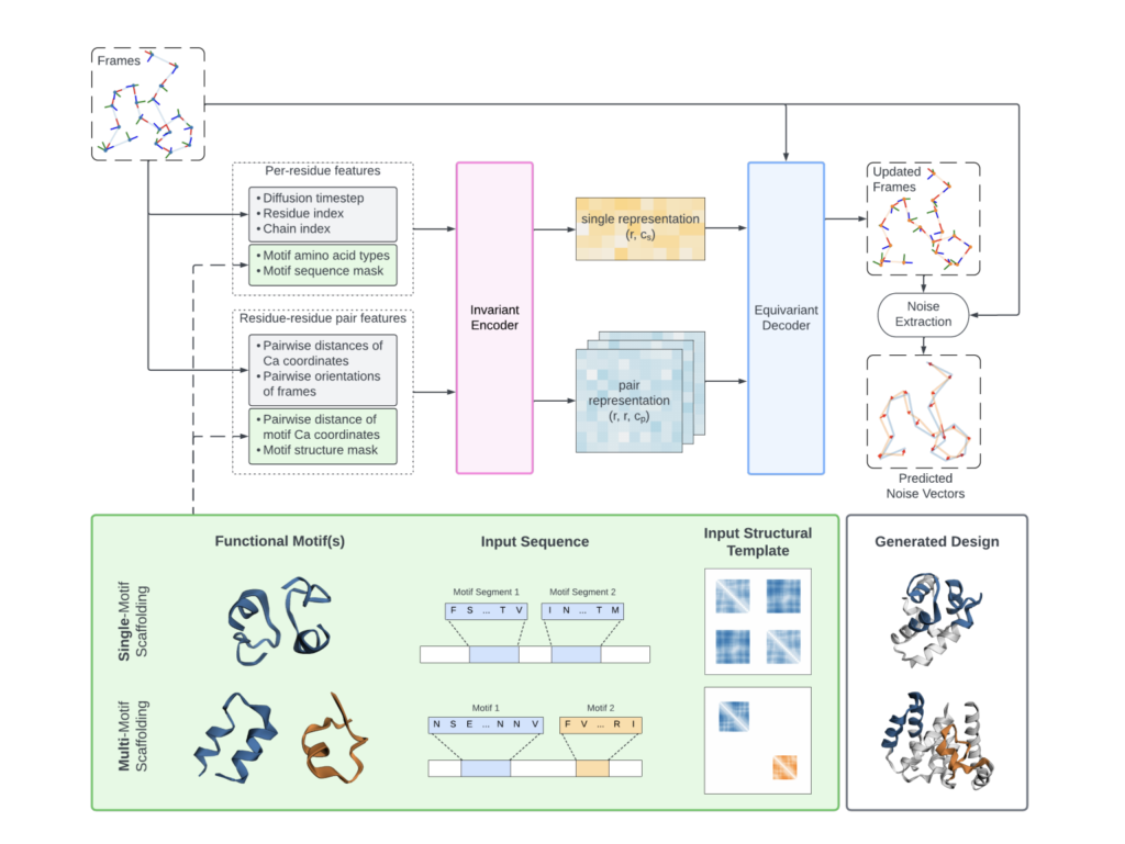 Genie 2: Transforming Protein Design with Advanced Multi-Motif Scaffolding and Enhanced Structural Diversity