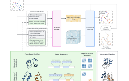 Genie 2: Transforming Protein Design with Advanced Multi-Motif Scaffolding and Enhanced Structural Diversity