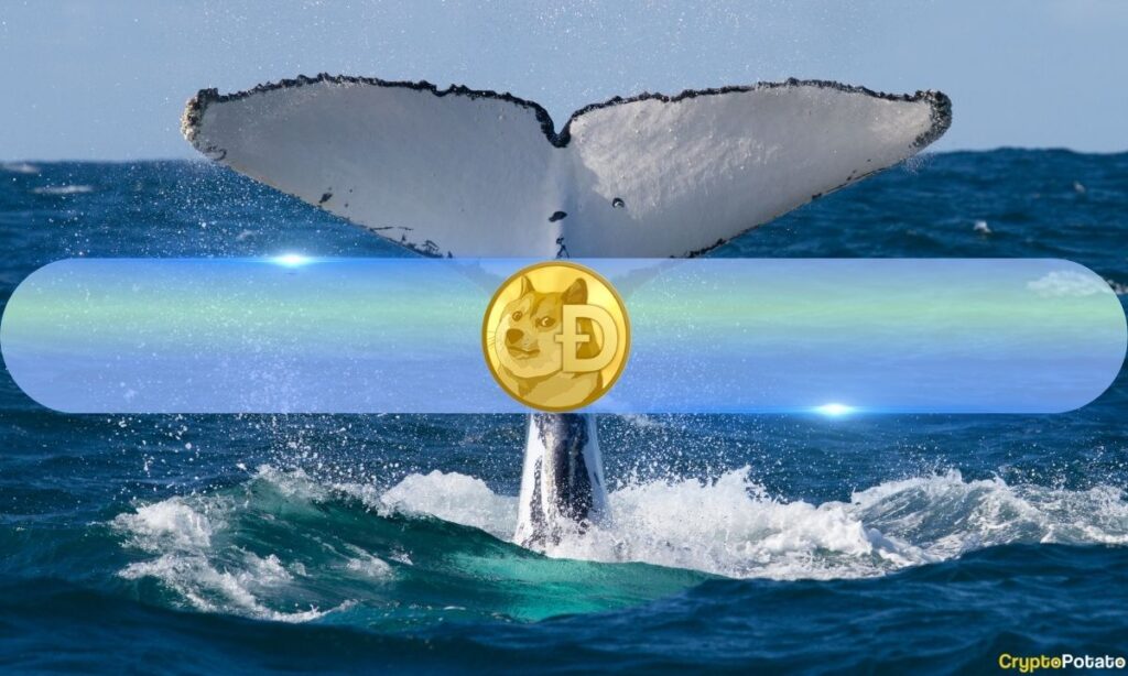 Dogecoin Whales Scoop Up 700 Million DOGE in 72 Hours