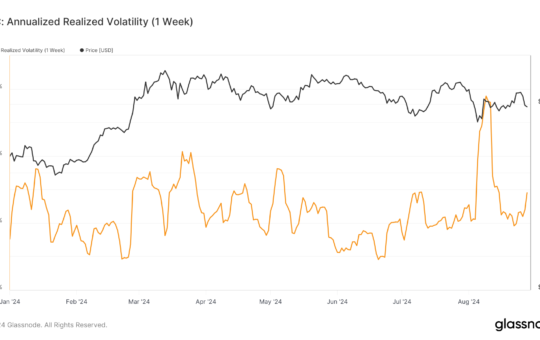 Bitcoin’s realized volatility in August reaches highest level in over a year