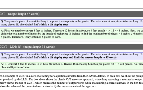 Optimizing Large Language Models for Concise and Accurate Responses through Constrained Chain-of-Thought Prompting