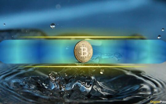 Bitcoin Emerges as Key 'Liquidity Barometer,' Correlating with Global Money Supply Trends: Research