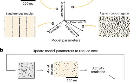 Spiking Network Optimization Using Population Statistics (SNOPS): A Machine Learning-Driven Framework that can Quickly and Accurately Customize Models that Reproduce Activity to Mimic What's Observed in the Brain