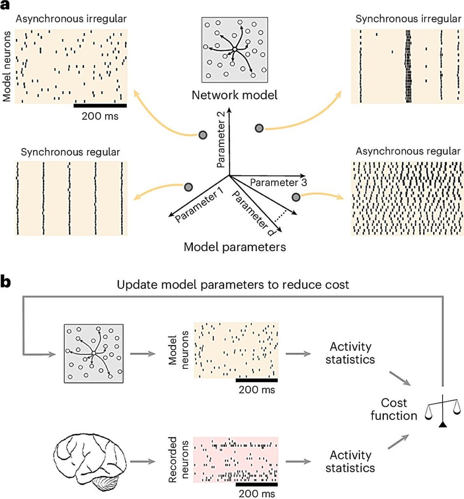 Spiking Network Optimization Using Population Statistics (SNOPS): A Machine Learning-Driven Framework that can Quickly and Accurately Customize Models that Reproduce Activity to Mimic What's Observed in the Brain