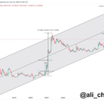 Looming Parabolic Rally Could Send Dogecoin Price Over $1 And As High As $20