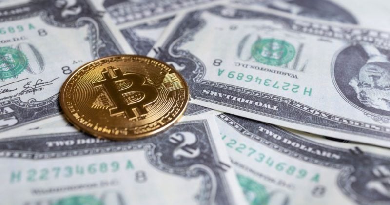 Bitcoin rally faces headwinds from Trump's diverging crypto trades, say experts