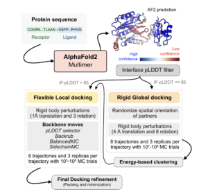 Enhancing Protein Docking with AlphaRED: A Balanced Approach to Protein Complex Prediction